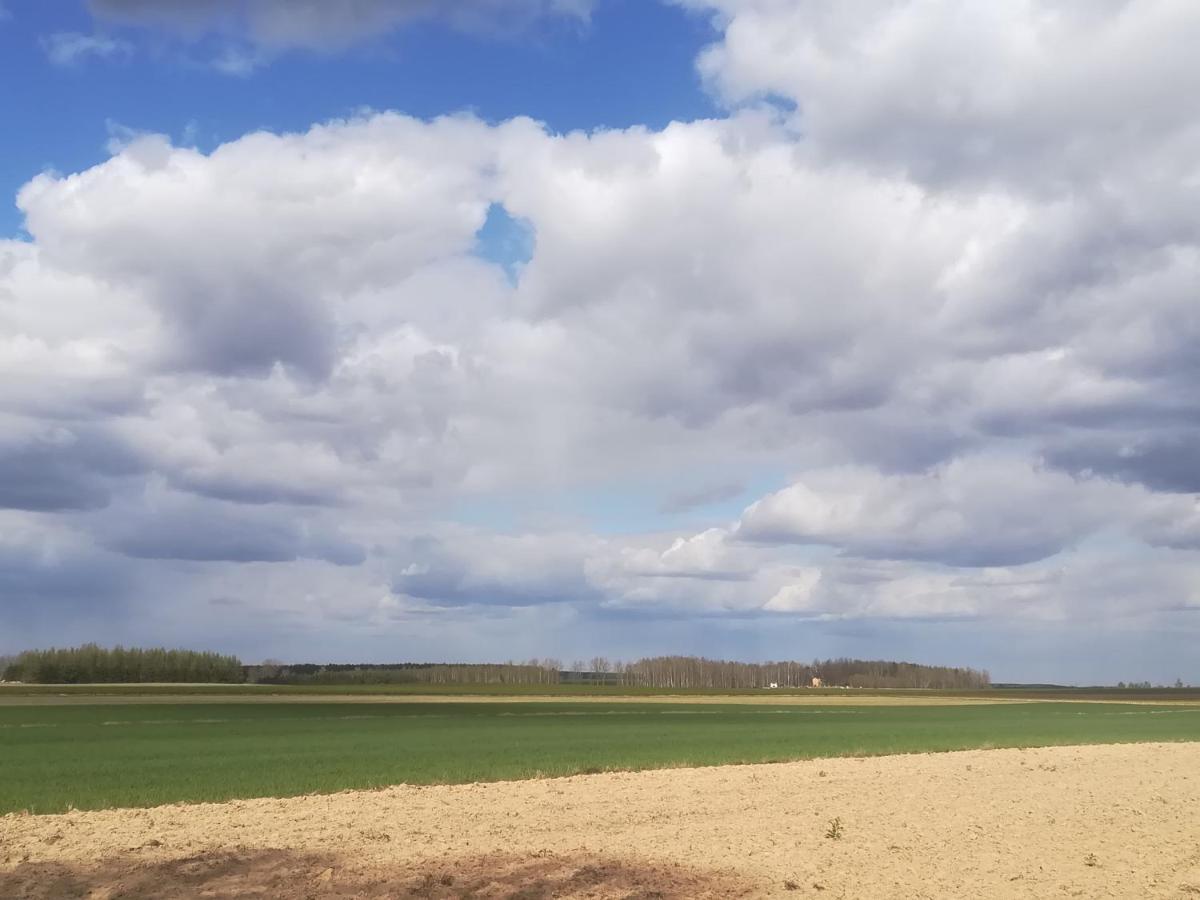 Zielony Zakątek Krynki Zewnętrze zdjęcie